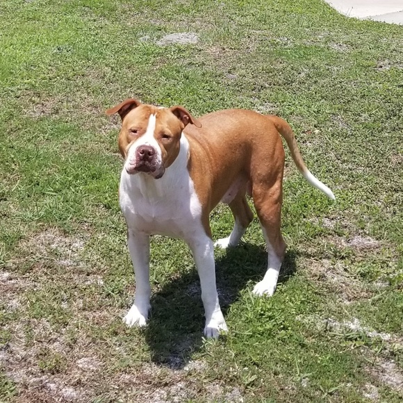 🦋Amanda, Poshmark Ambassador & Mentor🦋 - Picture 6 of 6